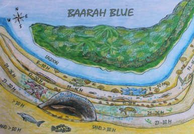 Baarah Blue